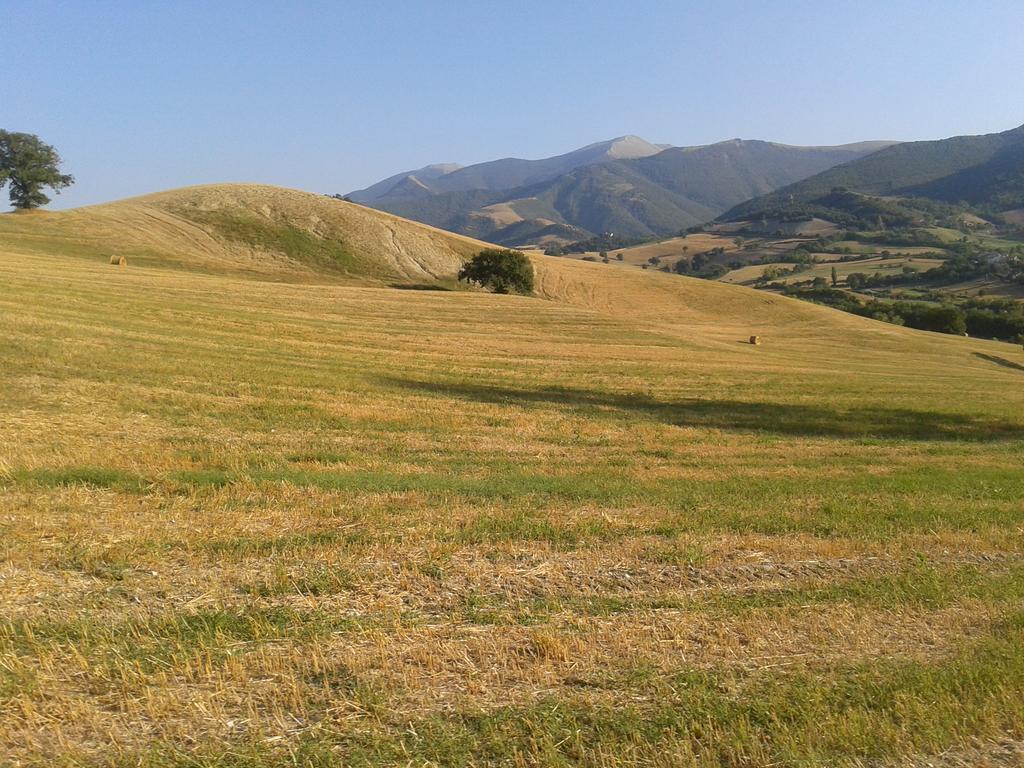 Ca' Le Suore Cagli Dış mekan fotoğraf